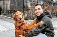 美国街头的治愈犬：大金毛的拥抱疗法
