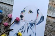 彩铅绘画教程：如何画出一只可爱的大麦町犬